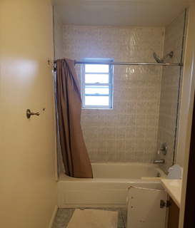 Bathroom Renovation