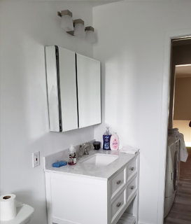 Bathroom Renovation