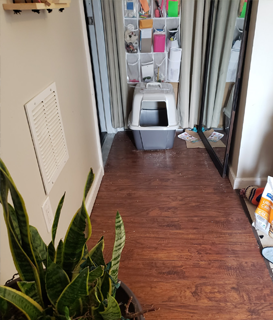 Luxury Vinyl Plank Flooring