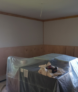Indoor Wall Painting