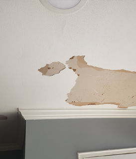 Repairing Ceiling