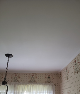 Repairing Ceiling
