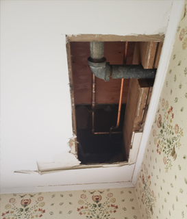 Repairing Ceiling