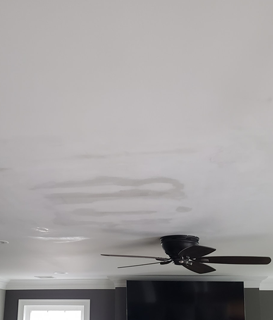 Repairing Ceiling