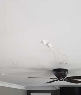 Repairing Ceiling
