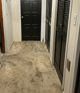 Luxury Vinyl Plank Flooring